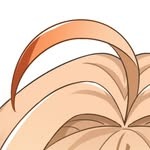 안해 프로필