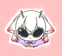 샤미SHAMI 프로필